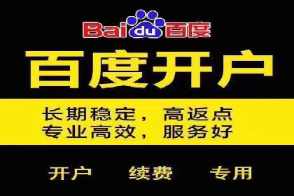百度推广代运营案例：案例解析：如何提升广告投放效果