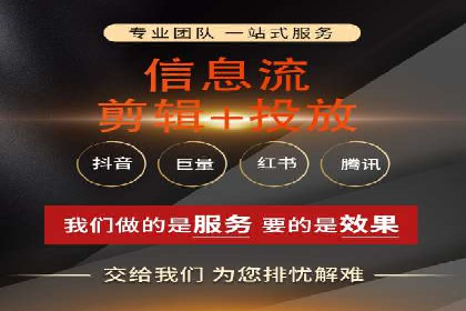 网络推广中的竞价广告：成功案例解析